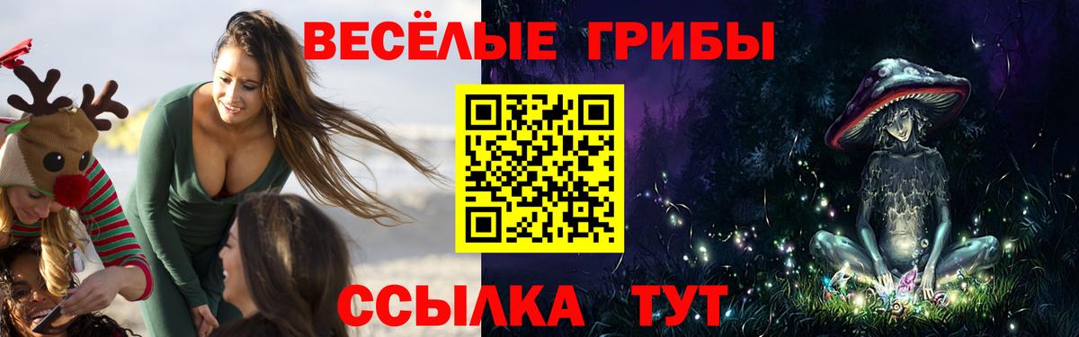 Дальнереченск  Псилоцибиновые грибы Cubensis  Вход с VPN 